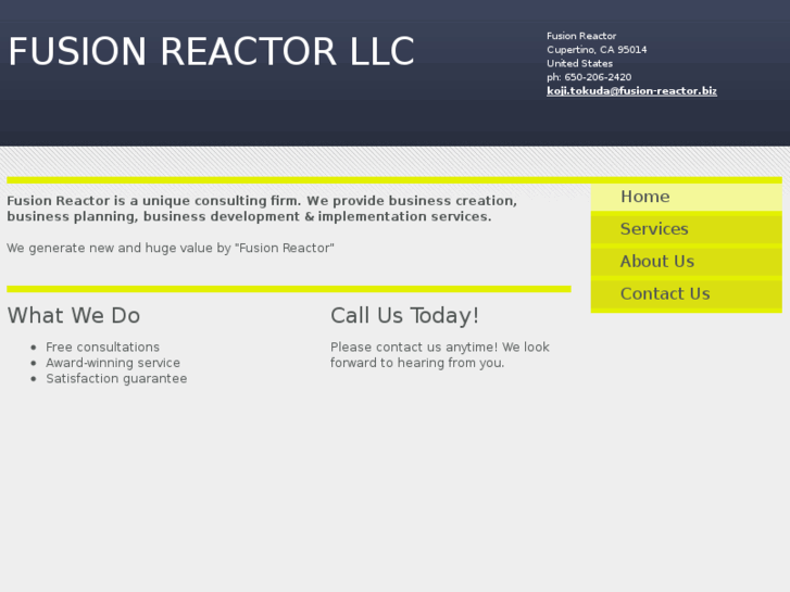 www.fusion-reactor.biz