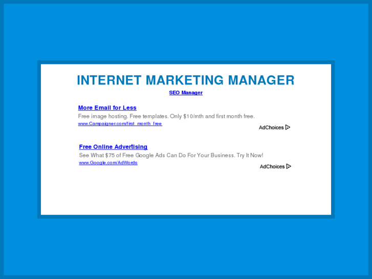 www.internetmarketingmanager.com