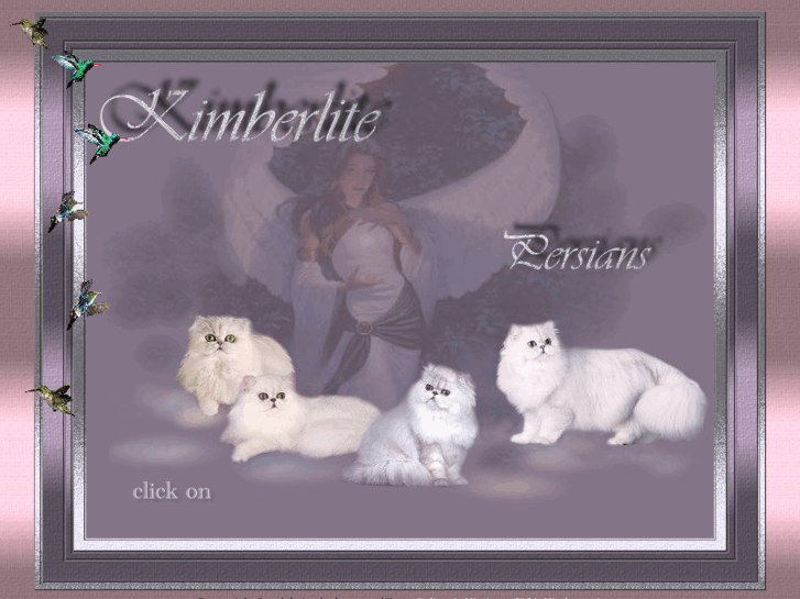 www.kimberlite-persians.com