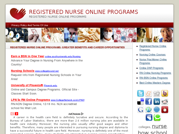 www.registerednurseonlineprograms.net