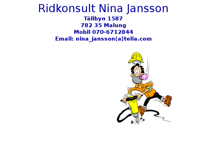 www.ridkonsult.com