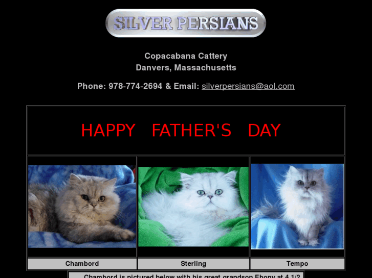 www.silverpersians.com