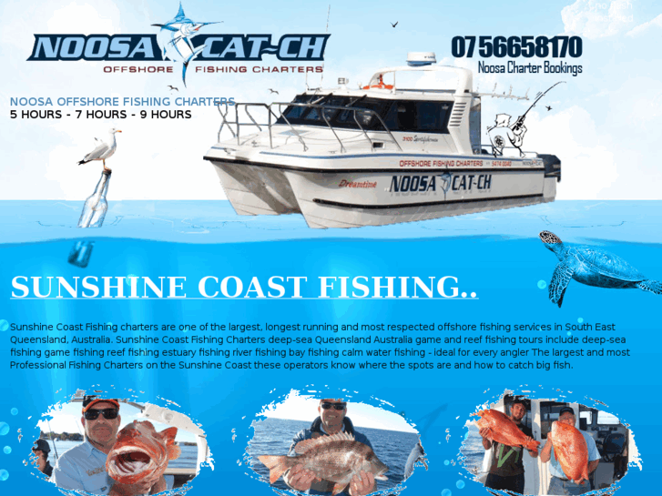 www.sunshinecoastfishing.com