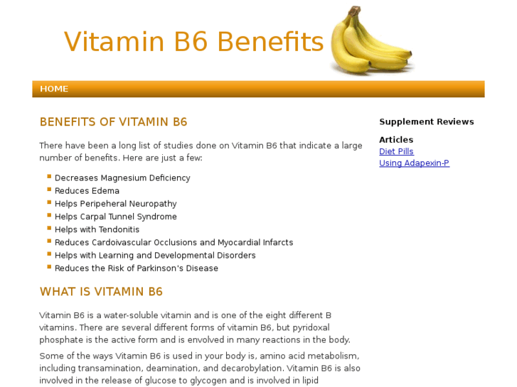 www.vitaminb6benefits.net