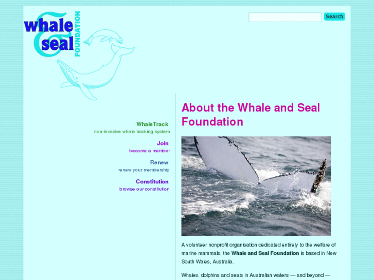 www.whaleandseal.org