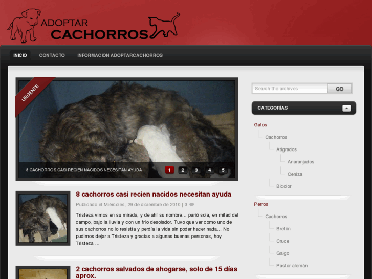 www.adoptarcachorros.com