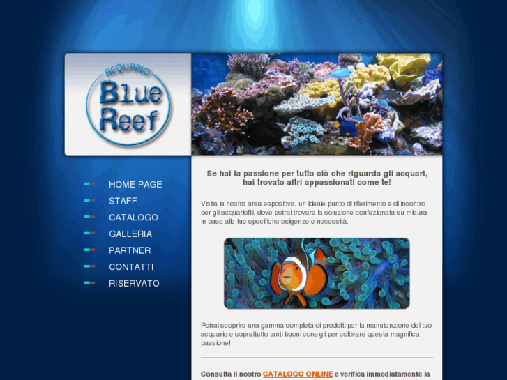 www.bluereefacquario.it