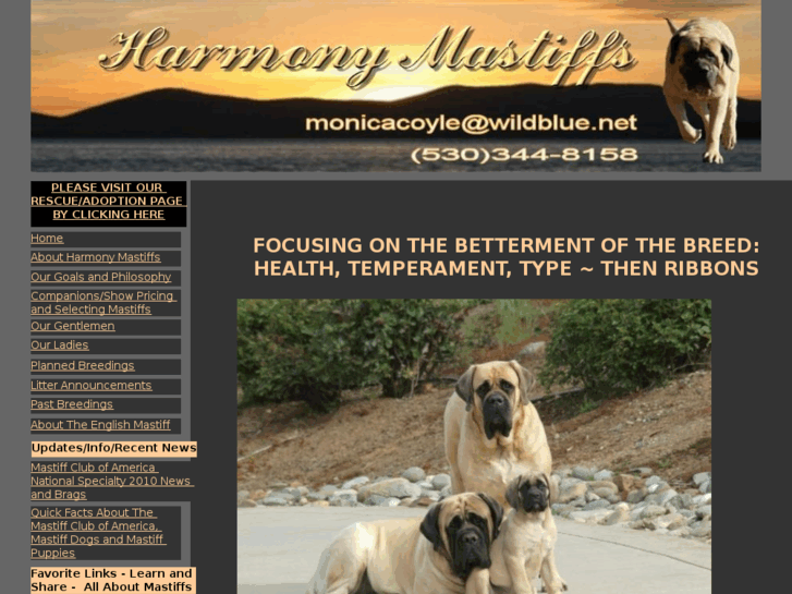 www.harmonymastiffsite.com