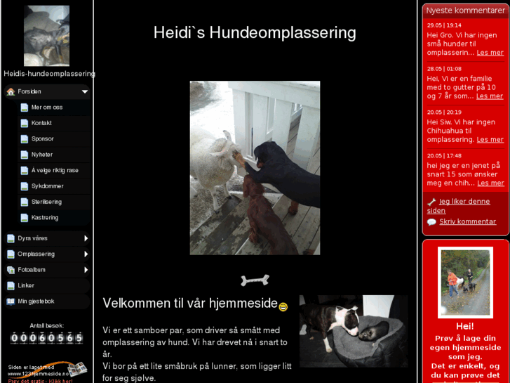 www.heidis-hundeomplassering.com