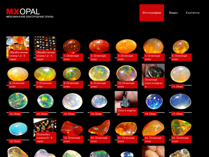 www.mxopal.com