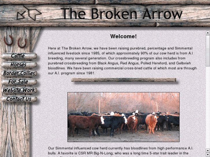 www.the-broken-arrow.com