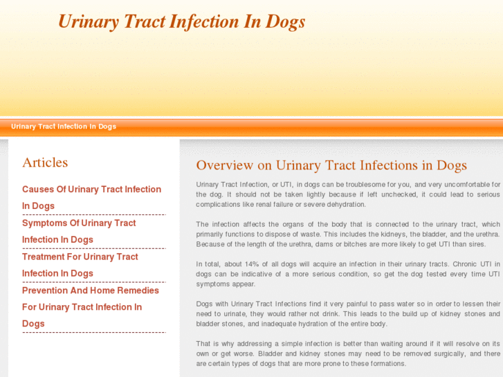 www.urinarytractinfectionindogs.com