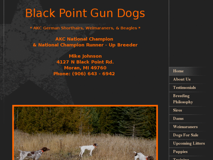 www.blackpointgundogs.com