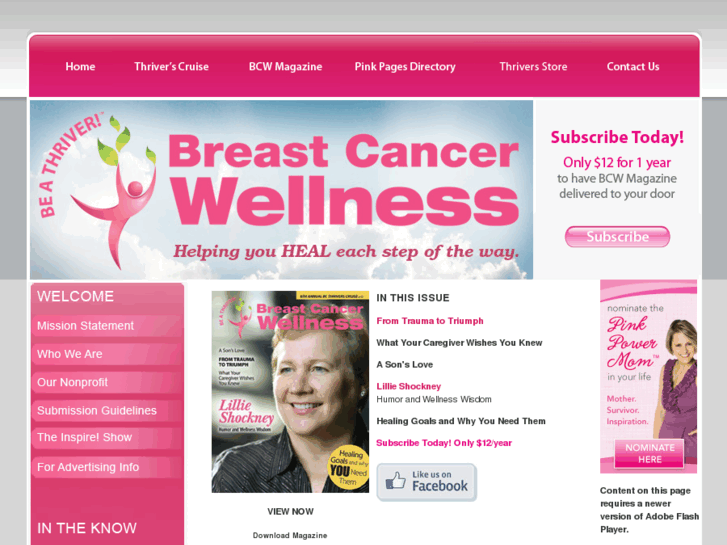 www.breastcancerwellness.org