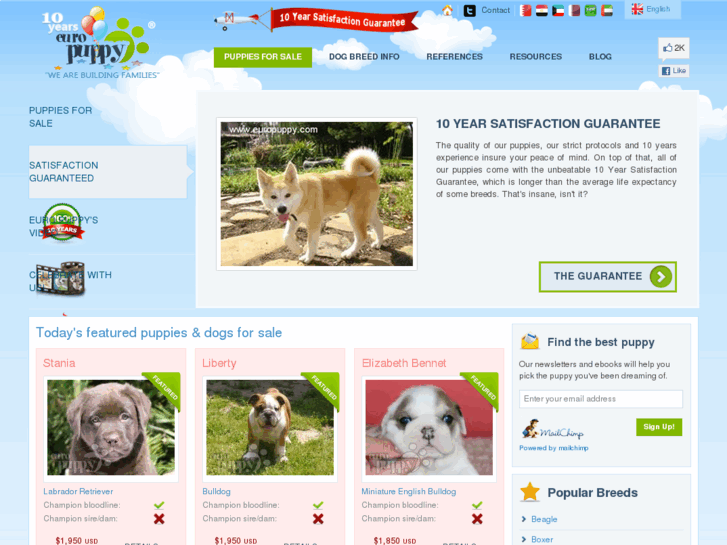 www.europuppy.com