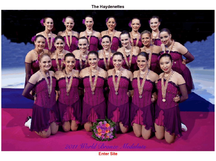 www.haydensynchro.com