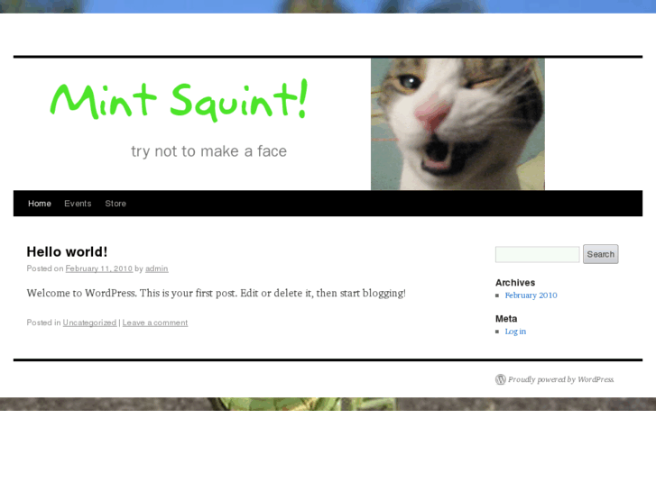 www.mintsquint.com