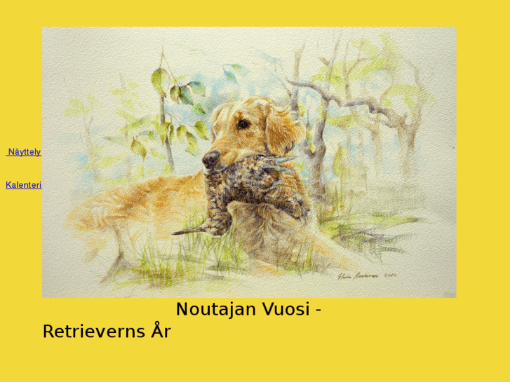 www.noutajanvuosi.com