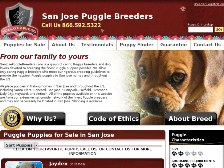 www.sanjosepugglebreeders.com