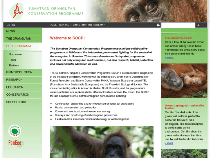 www.sumatranorangutan.com