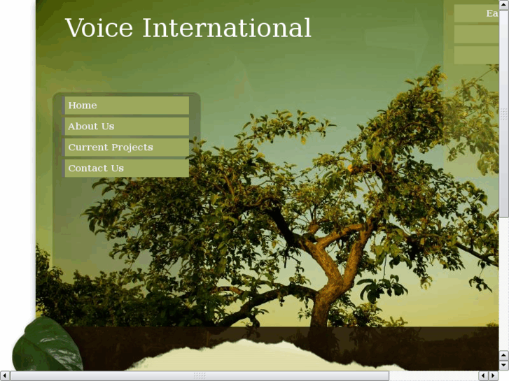 www.voice-international.net