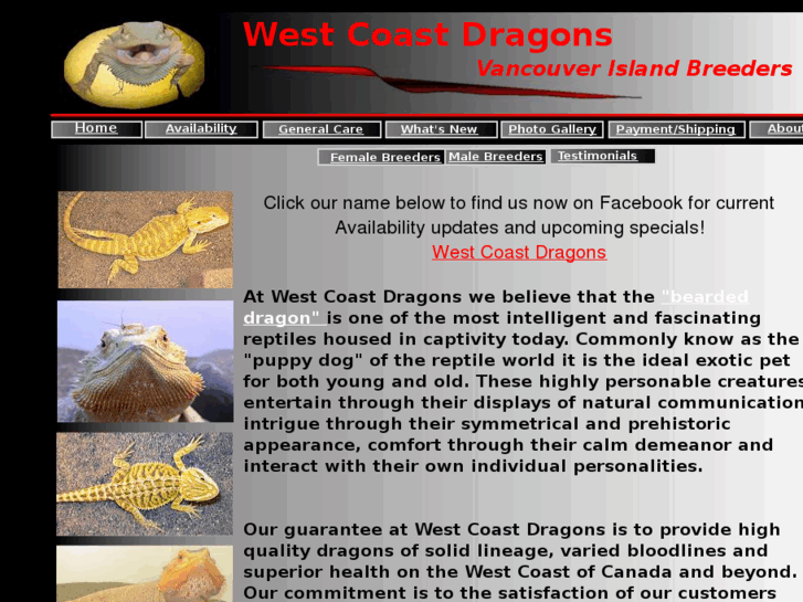 www.westcoastdragons.com