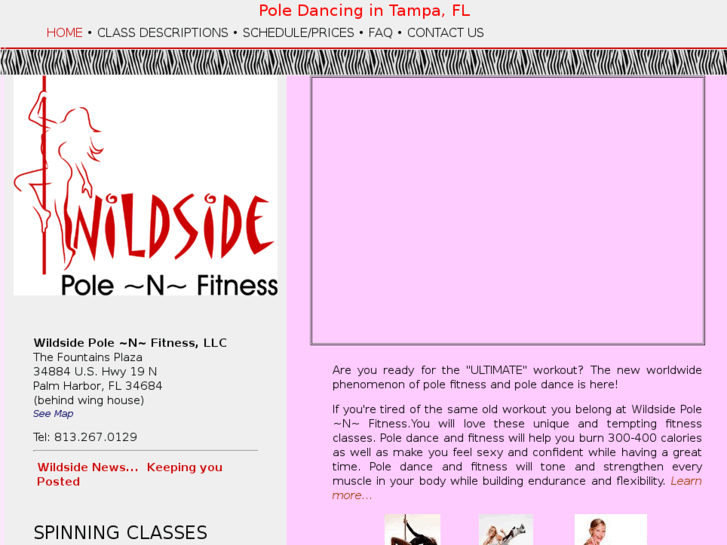 www.wildsidepolenfitness.com