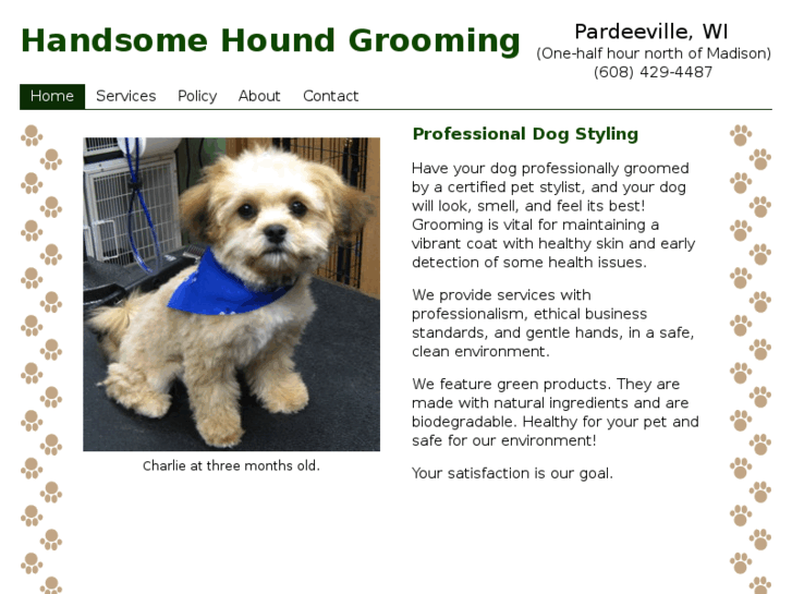 www.handsomehoundgrooming.com