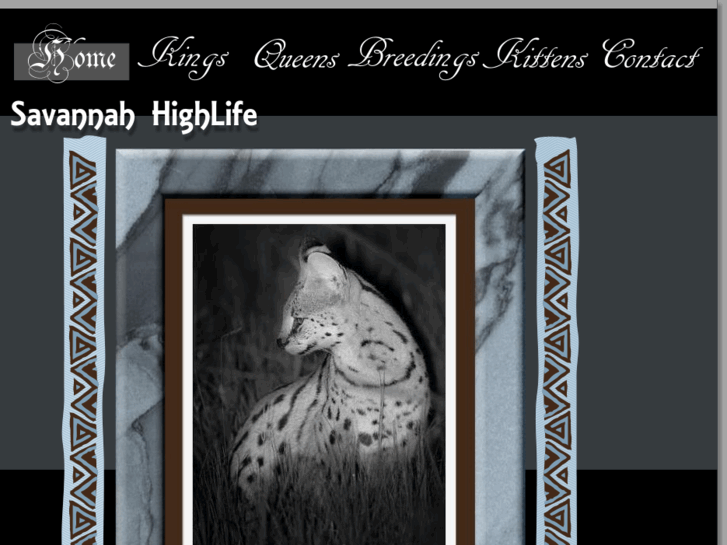 www.savannahhighlife.com