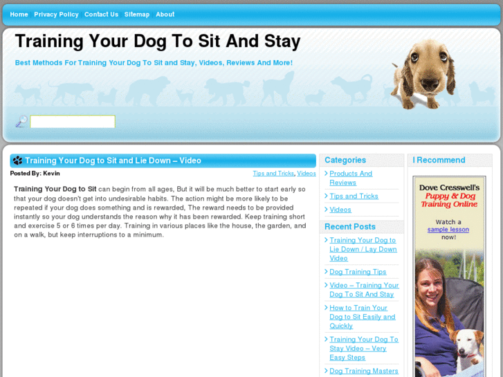 www.trainingyourdogtosit.com