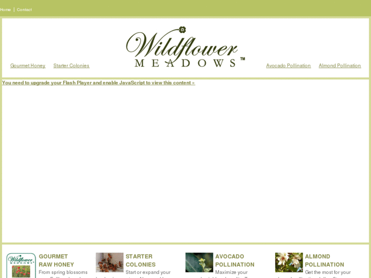 www.wildflowermeadows.com