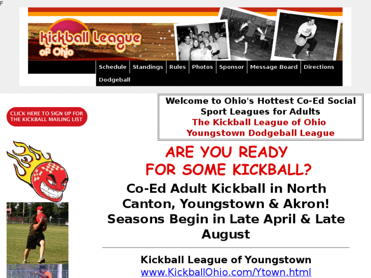 www.dodgeballyoungstown.com