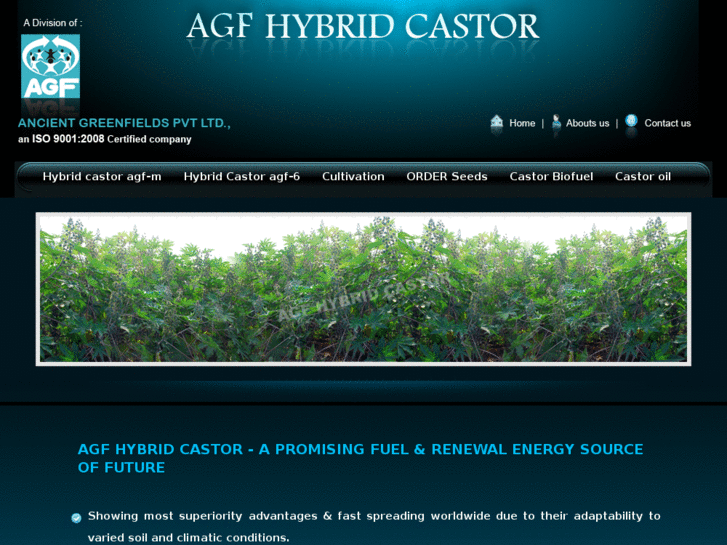 www.hybridcastorseeds.com