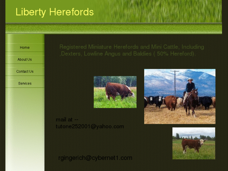 www.libertyherefords.com