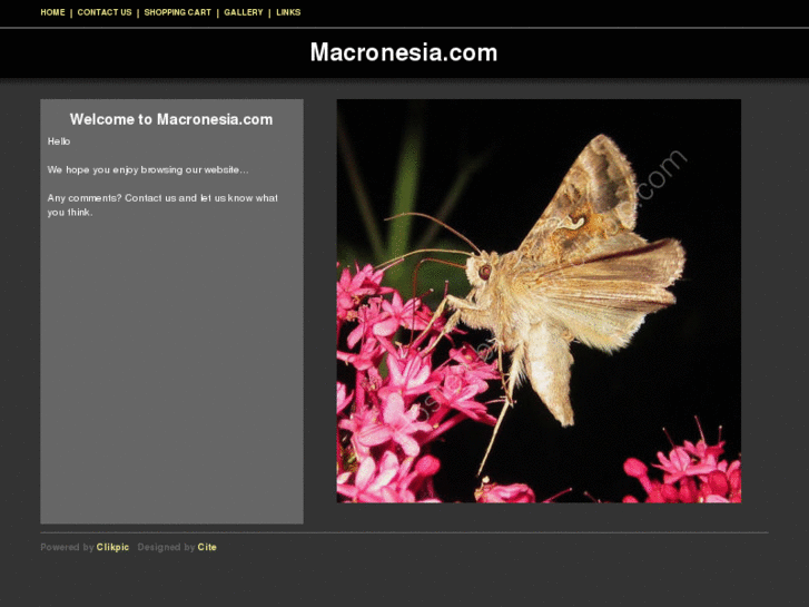 www.macronesia.com