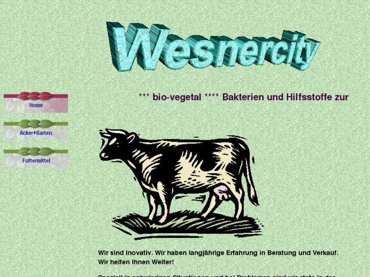 www.wesnercity.com