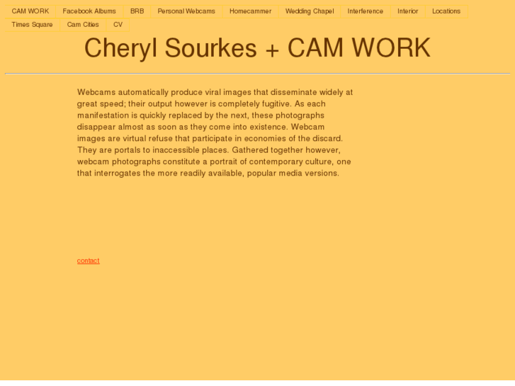 www.cherylsourkes.com