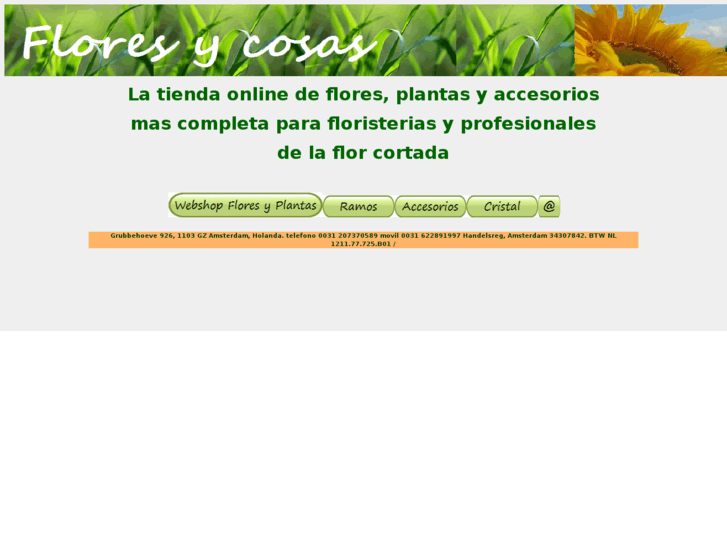 www.floresycosas.es