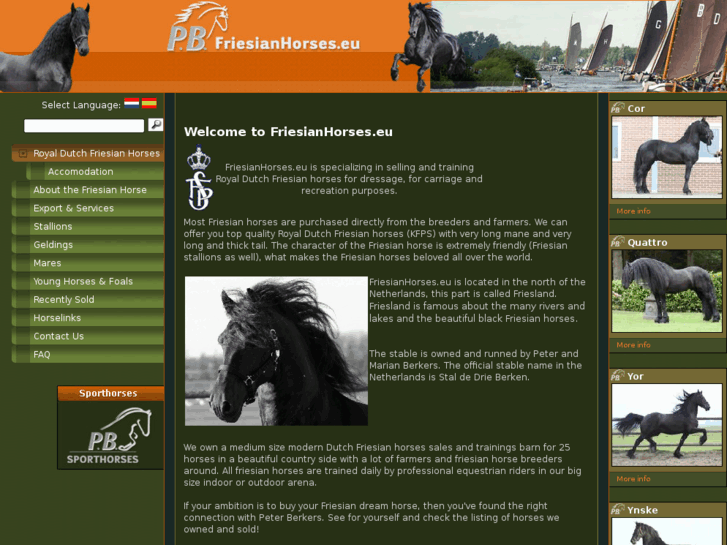 www.friesianhorses.eu