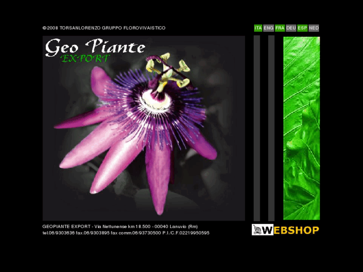 www.geopiante.com