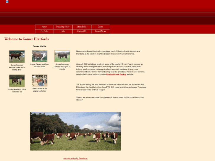 www.gomerherefords.com