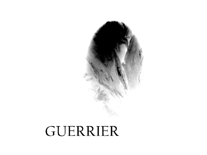 www.guerrierart.com