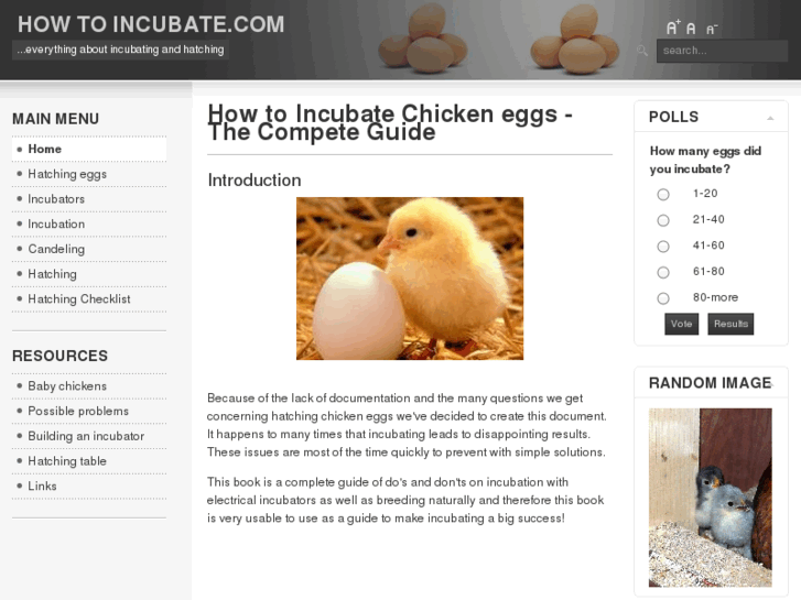 www.howtoincubate.com