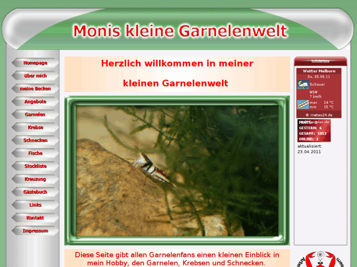 www.monis-kleine-garnelenwelt.de