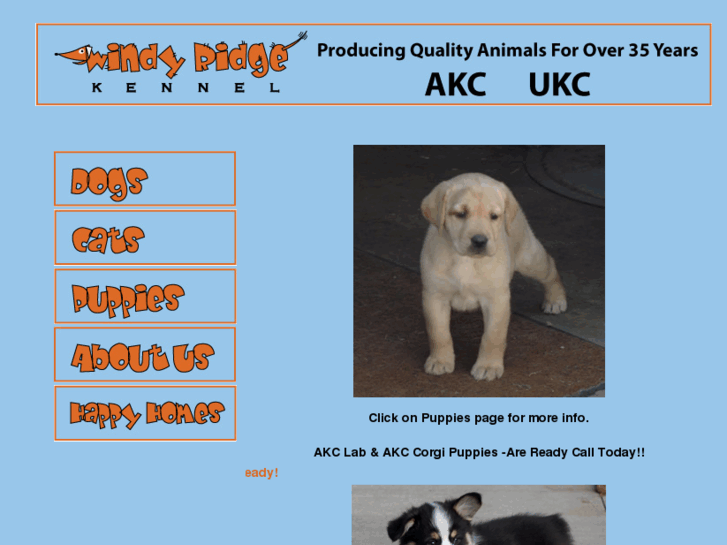 www.windyridgekennel.net