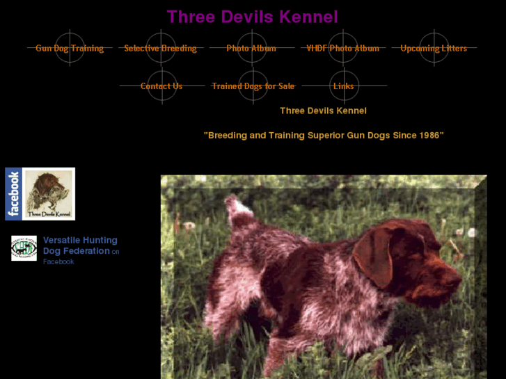 www.3devilskennel.com