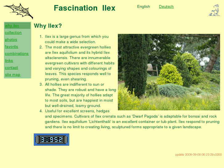 www.ilexgarden.com