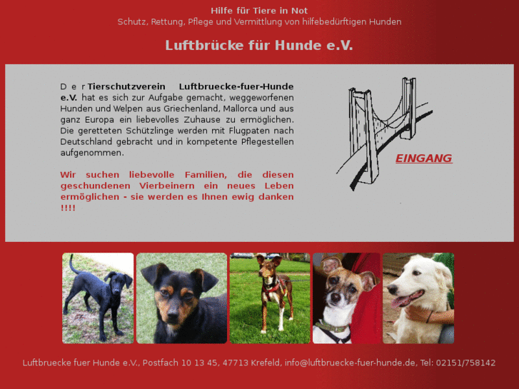 www.luftbruecke-fuer-hunde.de