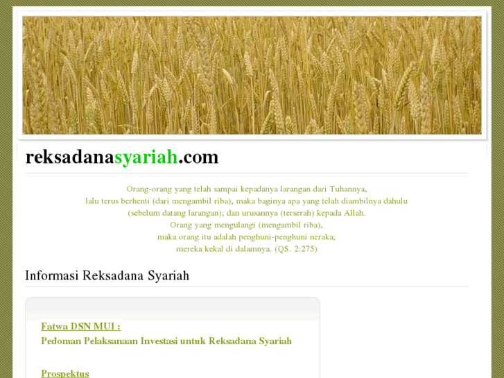 www.reksadanasyariah.com