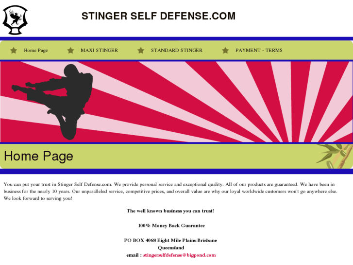 www.stingerselfdefense.com